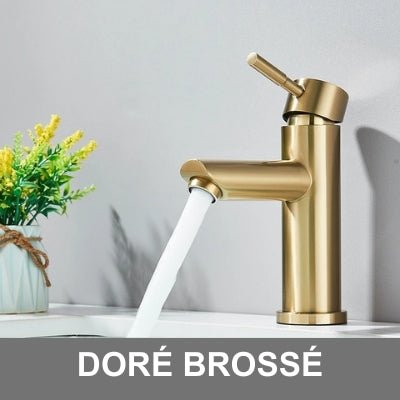 ROBINET POUR LAVABO | UNIQUE™ - maisonnettoyage