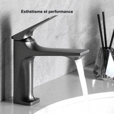 ROBINET SALLE DE BAIN | CONTEMPORAIN™ - maisonnettoyage