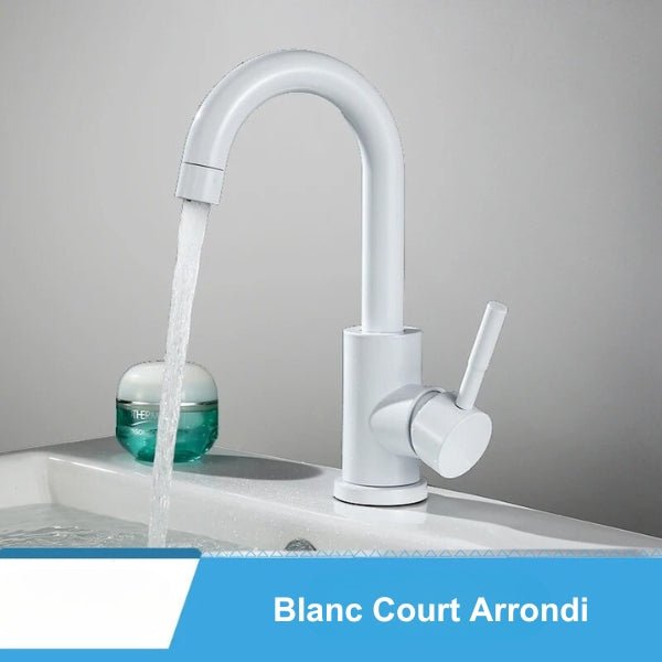 ROBINET SALLE DE BAIN | ROTATIF™ - maisonnettoyage